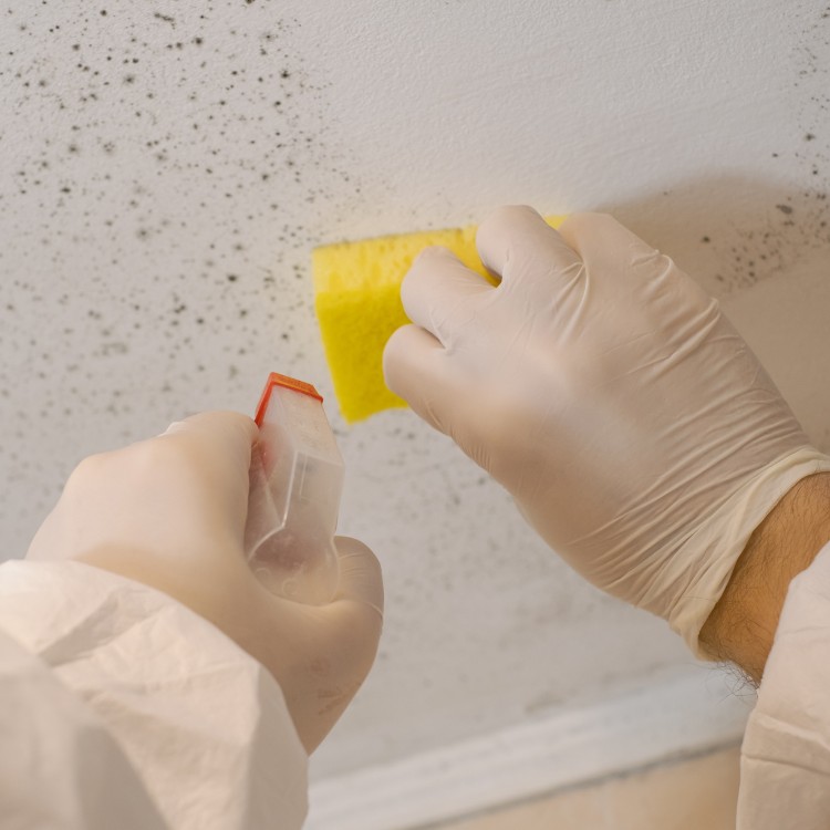 Damage restoration services in Provo, UT